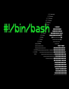 #!/bin/bash PC Steam CD Key