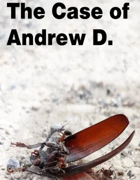 The Case of Andrew D. PC Steam CD Key